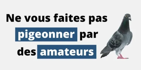 Ne vous faites pas pigeonner par des amateurs